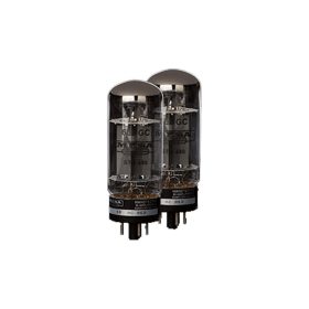 Mesa Boogie Tubes 6L6 STR 440