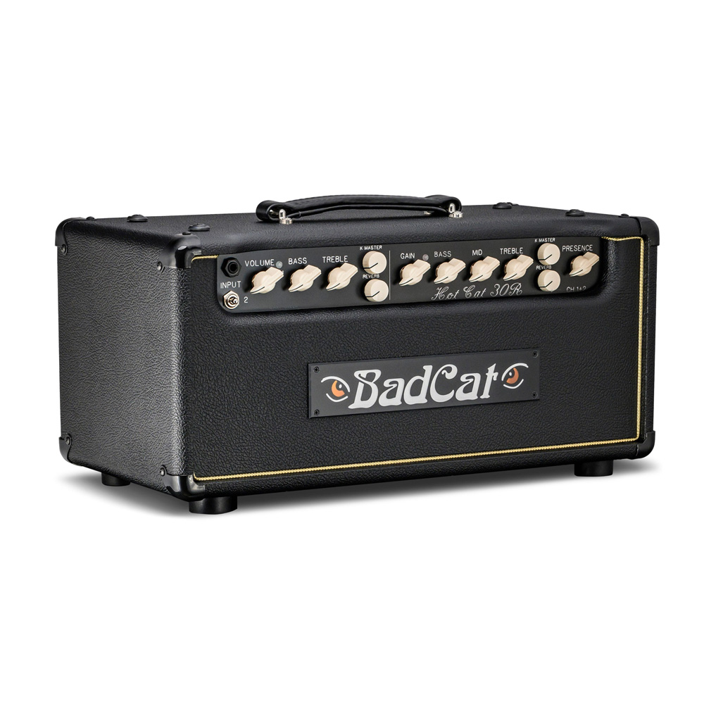 Bad Cat Hot Cat 30 30w head
