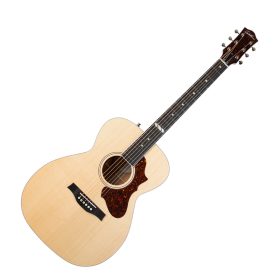 Godin Fairmount CH Natural HG EQ with TRIC Case
