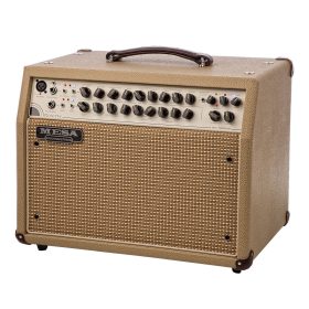 Mesa Boogie Combo Rosette 300 / Two-Eight Acoustic