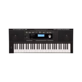 Roland E-X20A 61-key Arranger Asian Style