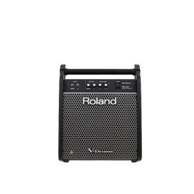 Roland PM-100 80-watt 1x10 inch Personal Drum Monitor