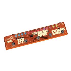 Tech 21 Acoustic Fly Rig