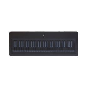 Roli Seaboard Grand