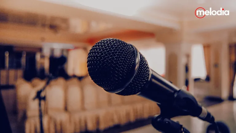 perbedaan mikrofon condenser dan mikrofon dynamic