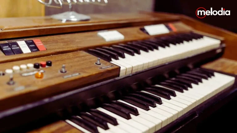 perbedaan keyboard dan organ