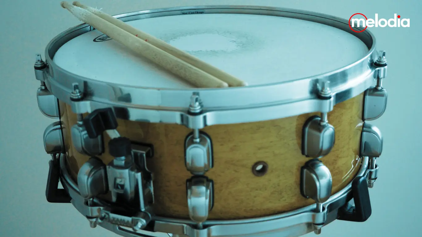 Snare Drum Terbaik 2025 Pilihan Profesional